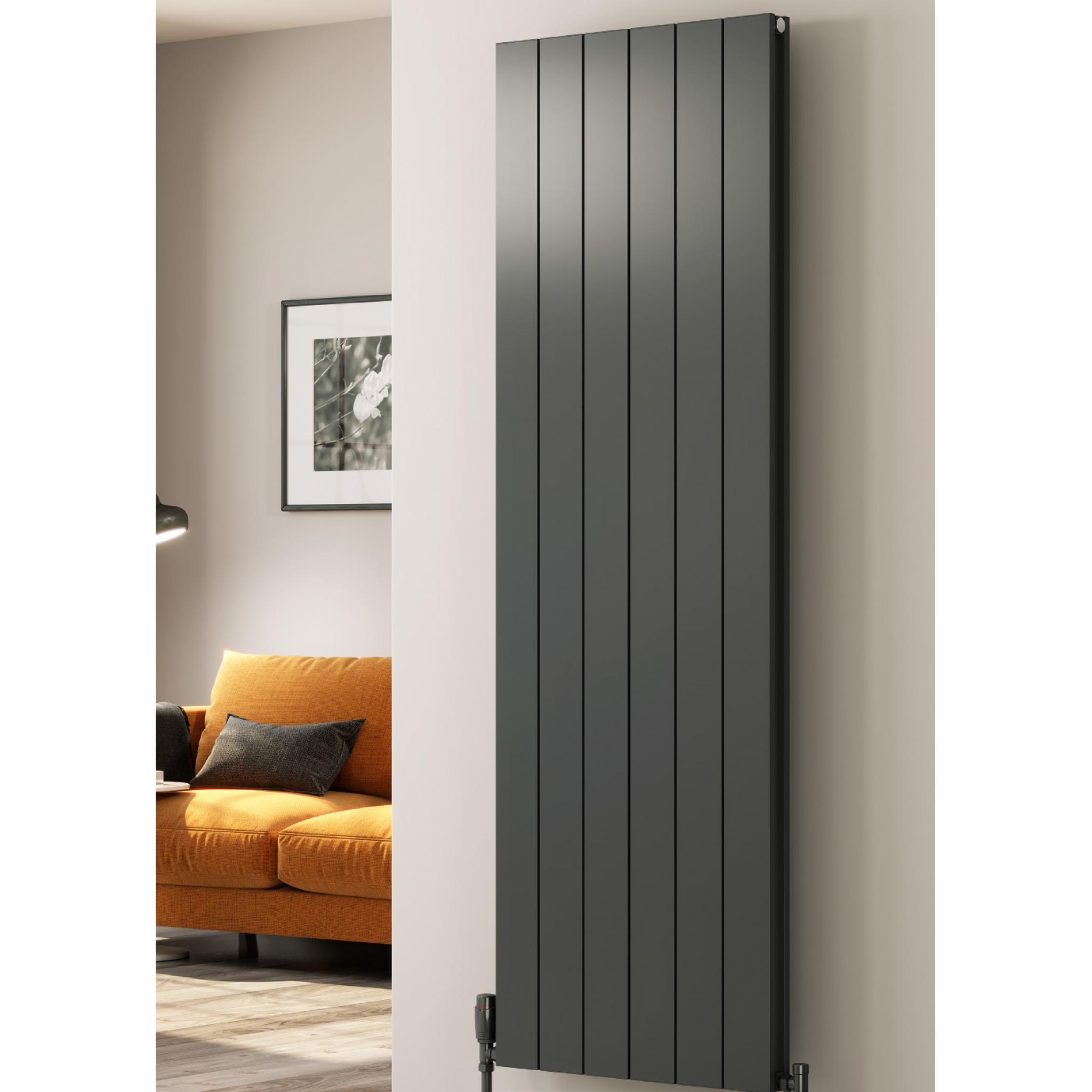Reina Radiator Casina Double Brushed Horizontal 600 x 1420mm